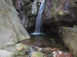 Picture_2 047